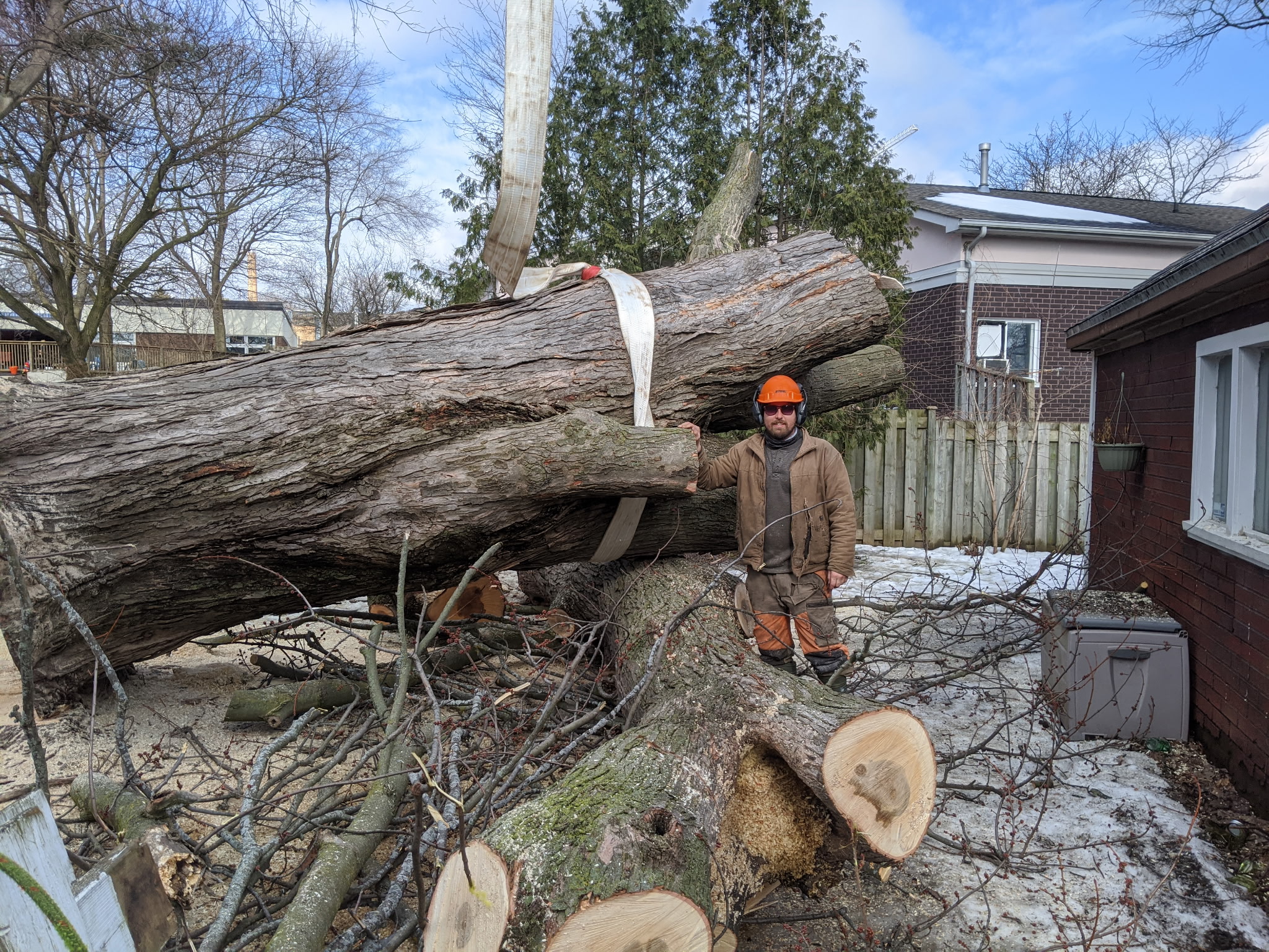 a man removing a part of tree